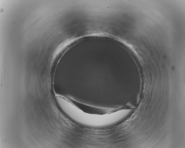 X0000088071319200706011504