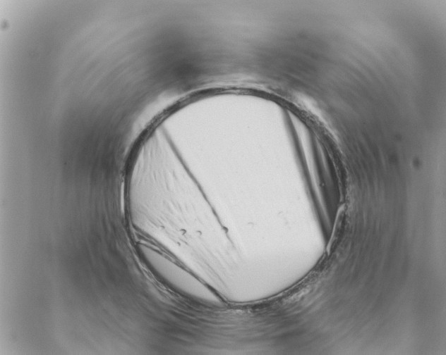 X0000088071320200706011504