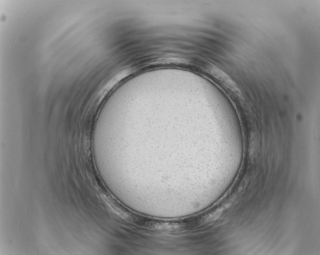 X0000088071321200706011504