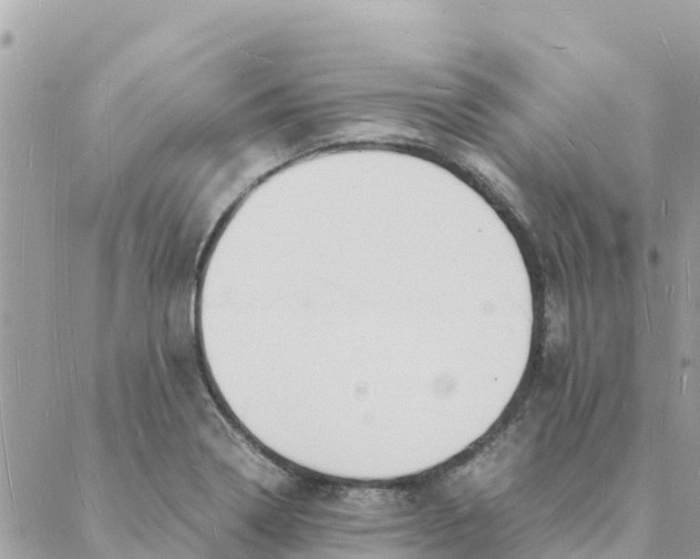 X0000088071322200706011504