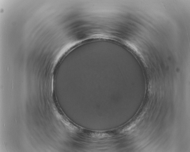 X0000088071323200706011504