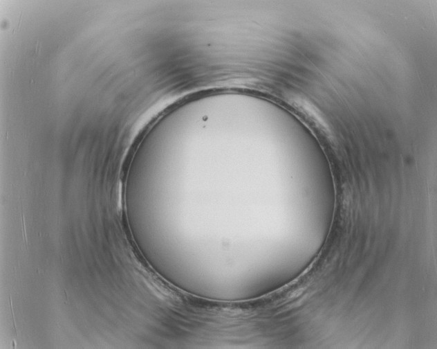 X0000088071324200706011504