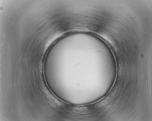 X0000088071325200706011504