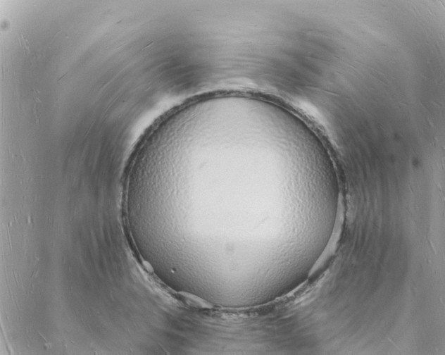 X0000088071326200706011504