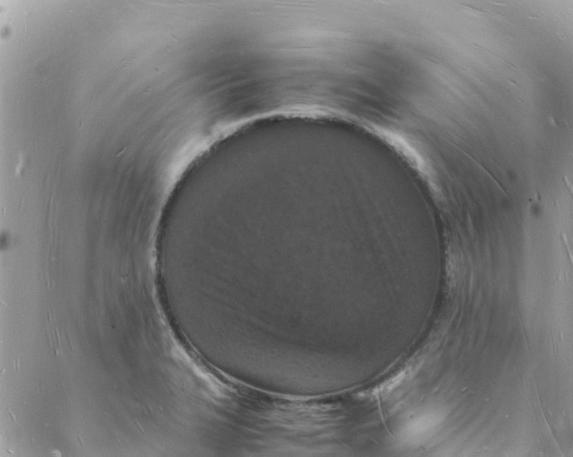 X0000088071327200706011504