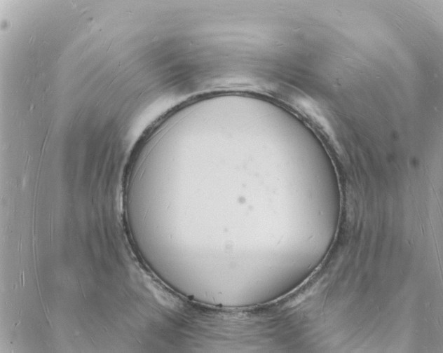 X0000088071328200706011504