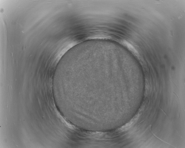 X0000088071329200706011504