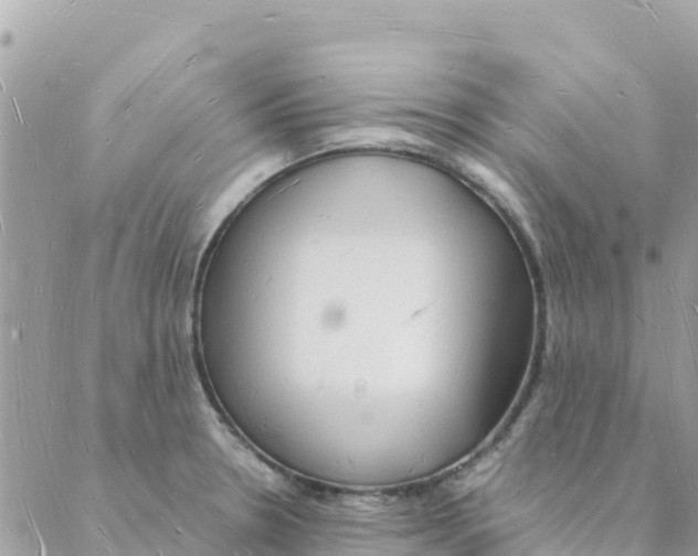 X0000088071330200706011504