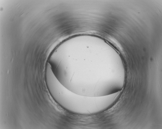 X0000088071332200706011504