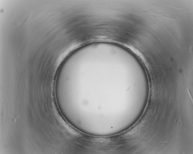 X0000088071333200706011504