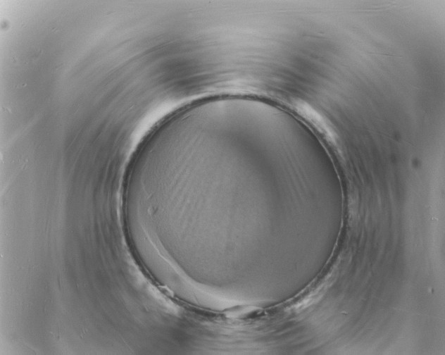 X0000088071334200706011504