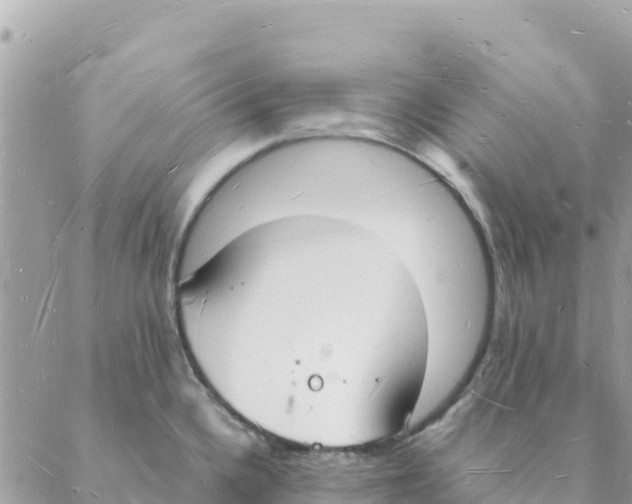 X0000088071336200706011504