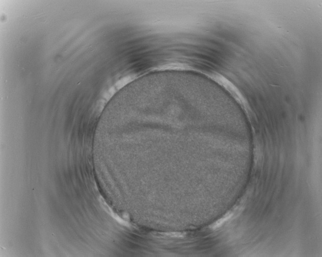 X0000088071337200706011504