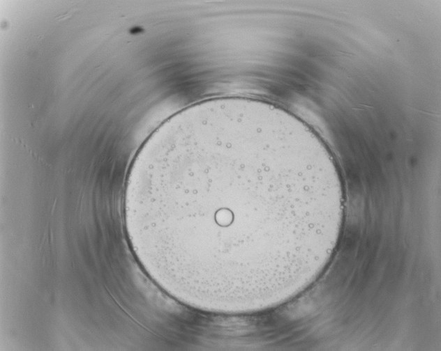 X0000088071338200706011504