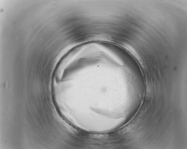 X0000088071339200706011504