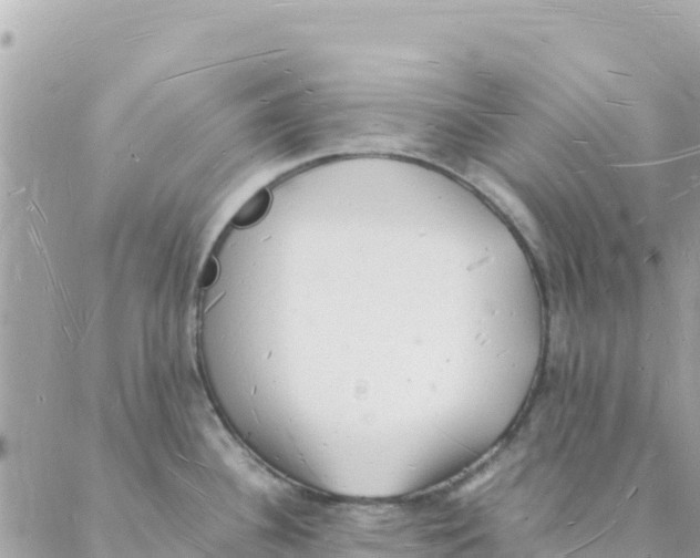 X0000088071340200706011504