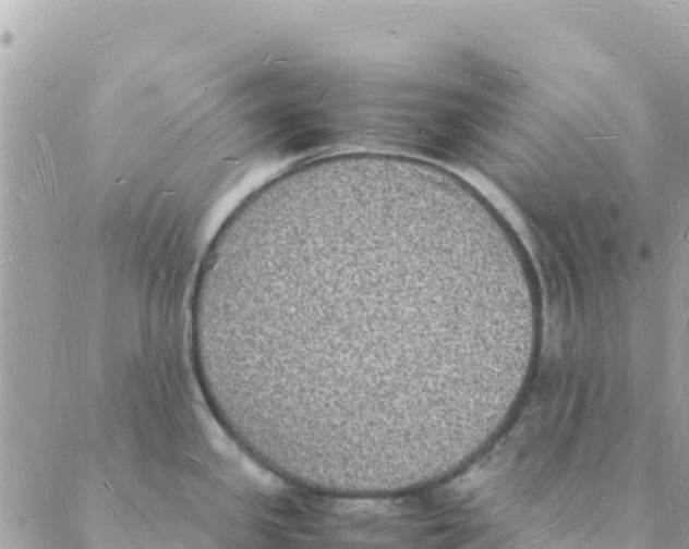 X0000088071341200706011504