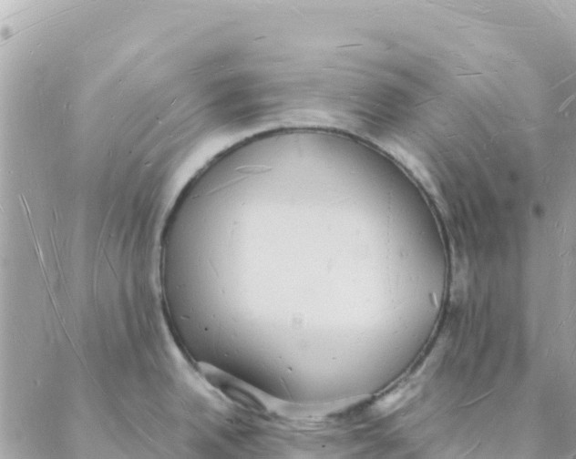 X0000088071342200706011504