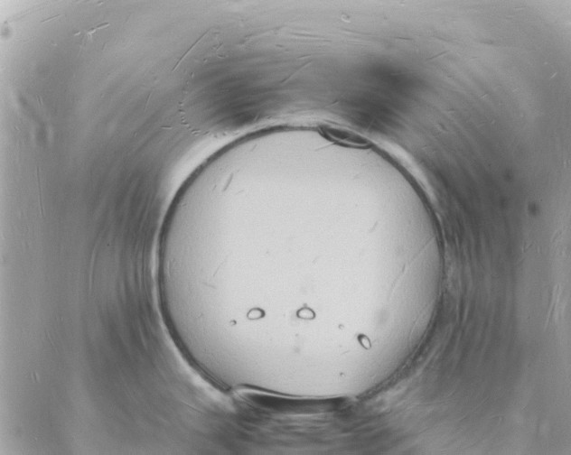 X0000088071343200706011504