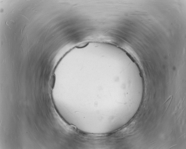 X0000088071344200706011504