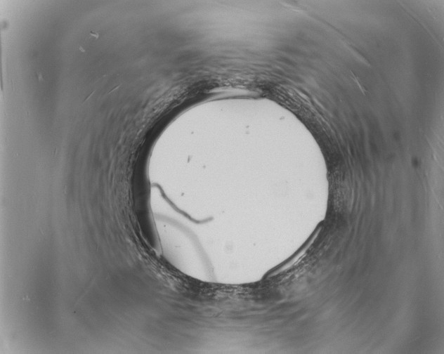 X0000088071345200706011503