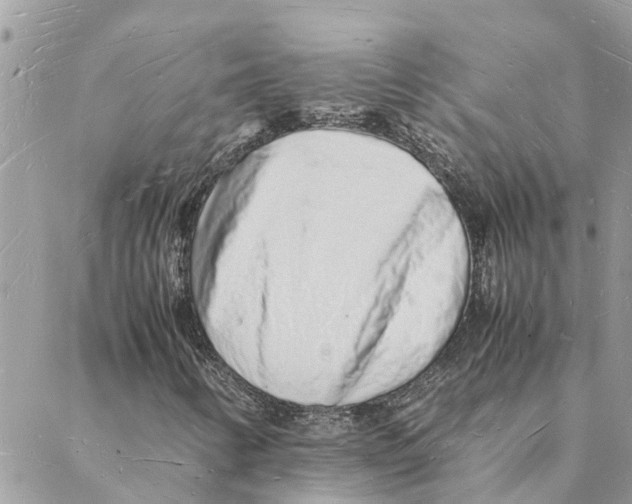 X0000088071346200706011503