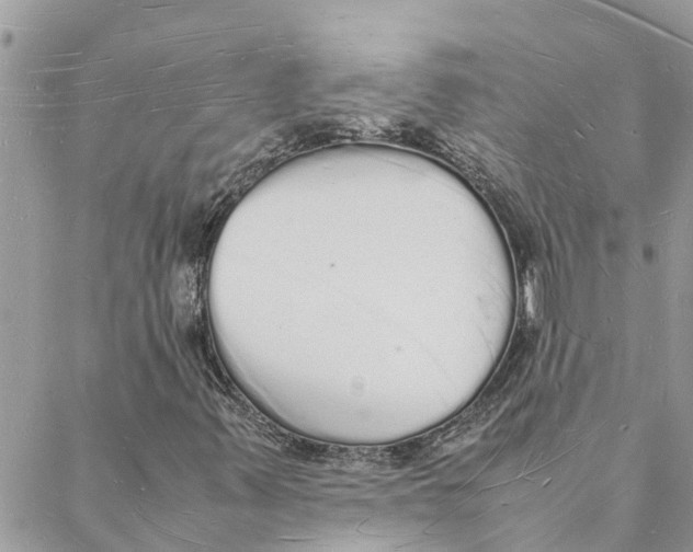 X0000088071347200706011503