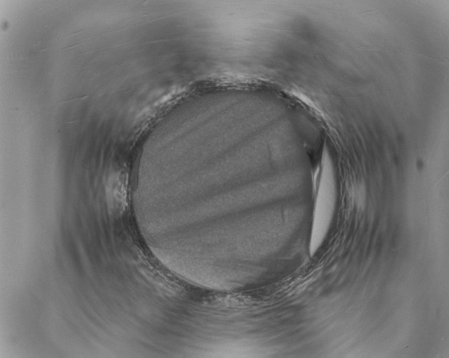 X0000088071348200706011503