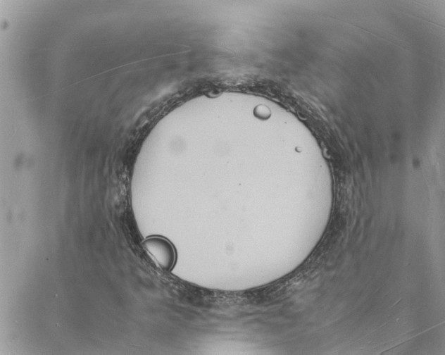 X0000088071349200706011503