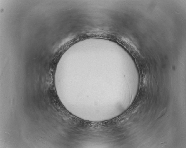 X0000088071350200706011503