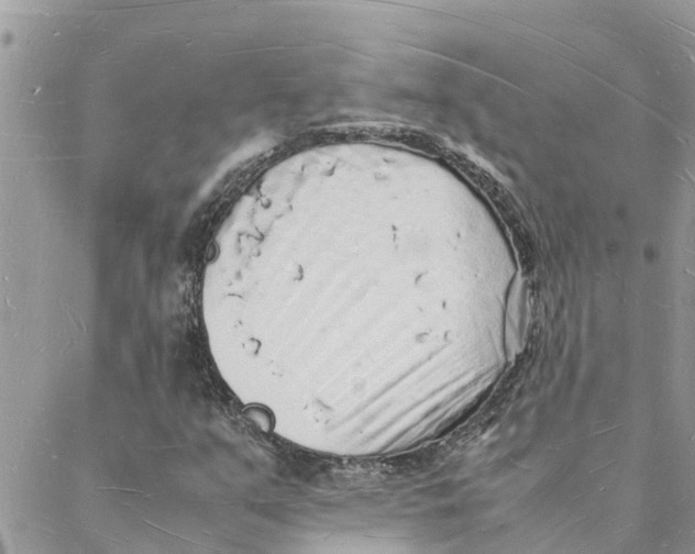 X0000088071351200706011503