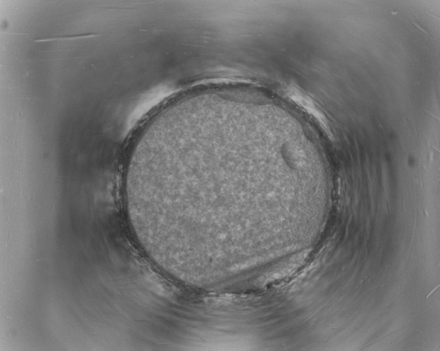 X0000088071352200706011503