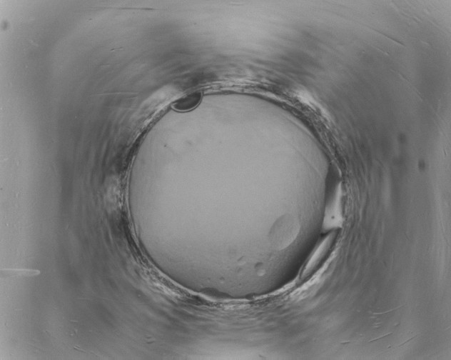 X0000088071353200706011503