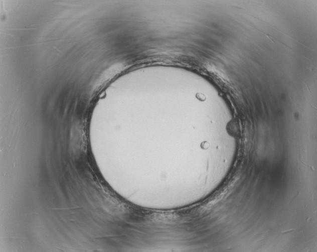 X0000088071354200706011503