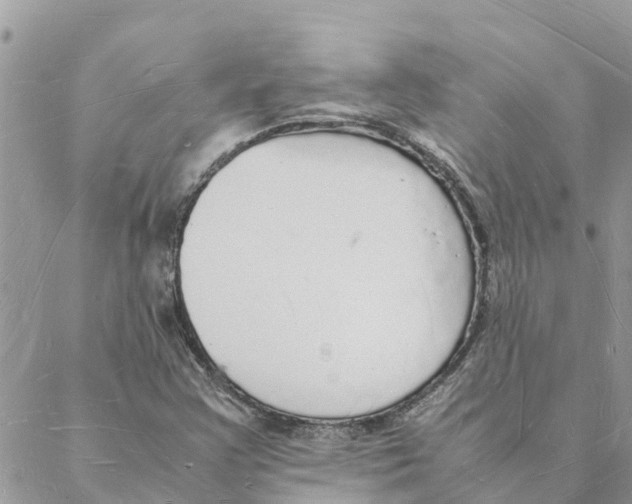 X0000088071355200706011503