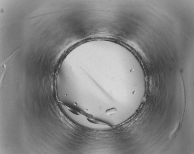 X0000088071356200706011503