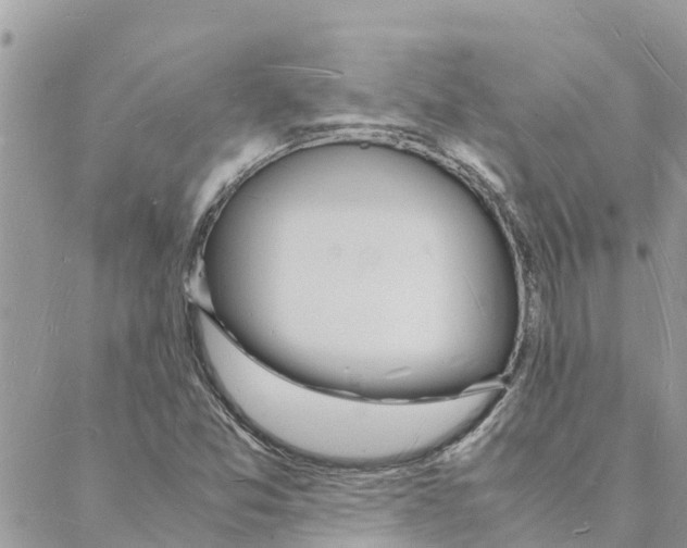 X0000088071357200706011503