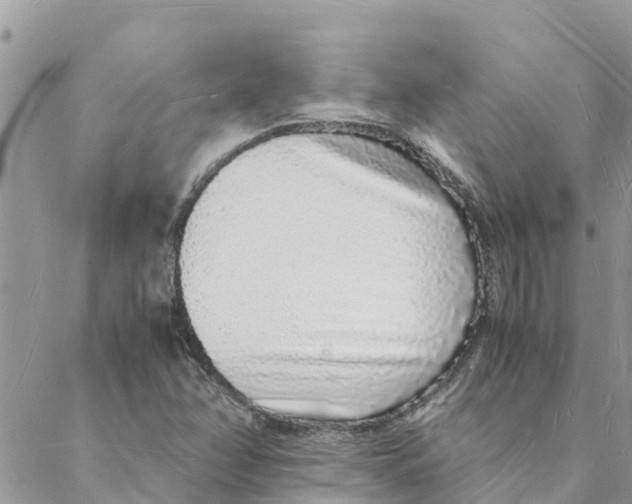 X0000088071358200706011503