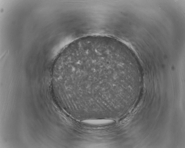 X0000088071359200706011503