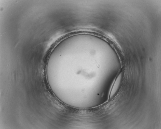 X0000088071360200706011503