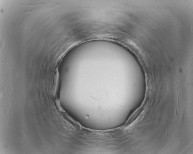 X0000088071361200706011503