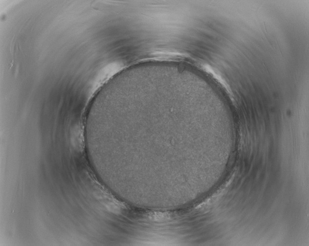 X0000088071362200706011503