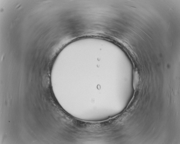 X0000088071363200706011503