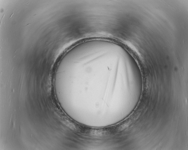 X0000088071364200706011503