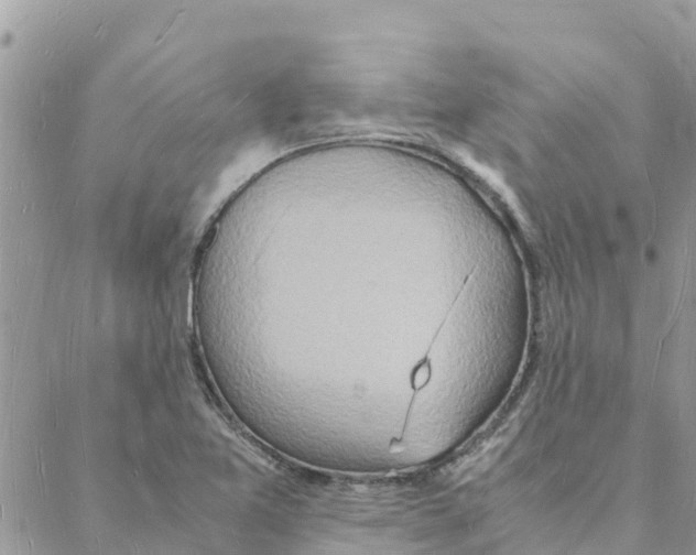 X0000088071365200706011503