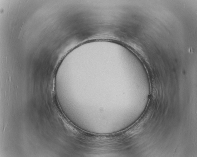 X0000088071366200706011503