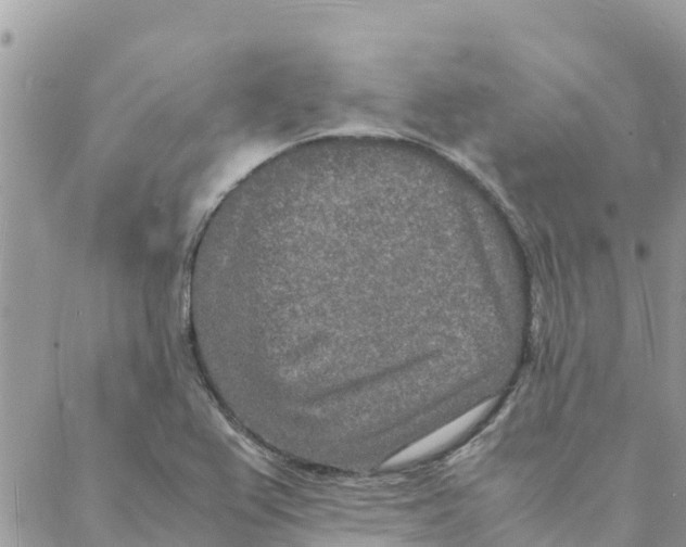 X0000088071367200706011503