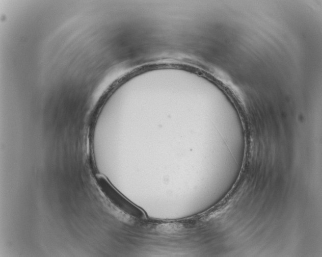 X0000088071368200706011503