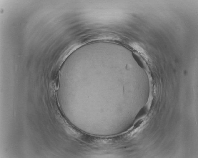 X0000088071369200706011503