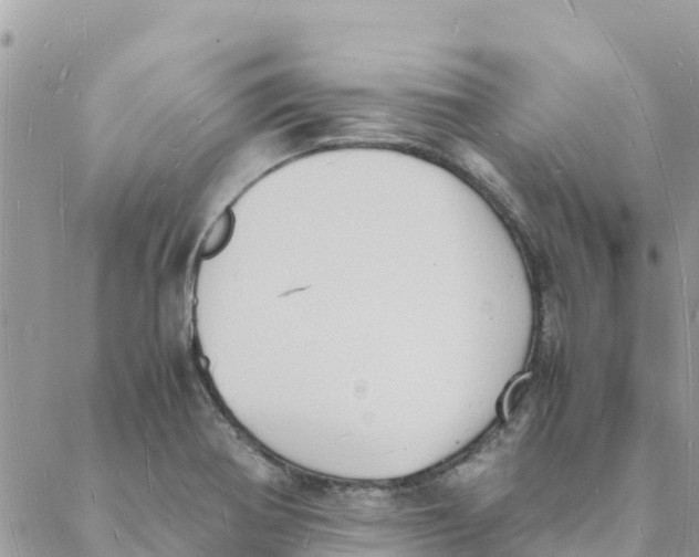 X0000088071370200706011503